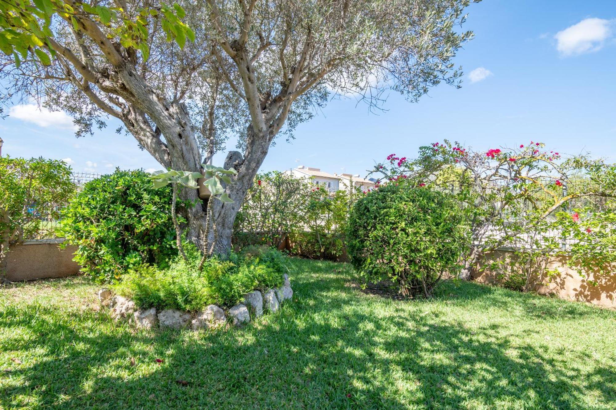 Que Bo Villa Alcudia  Exterior foto